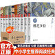 魯迅經(jīng)典全集10冊 朝花夕拾+仿徨+阿Q正傳+故事新編+故鄉+狂人日記+祝福+吶喊+孔乙己+野草