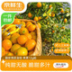 京鮮生 二代脆皮金桔 凈重2斤 單果12g+ 滑皮金桔新鮮水果 源頭直發(fā)包郵