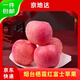 京地達煙臺棲霞紅富士蘋(píng)果凈重4.5斤單果約198g煙臺蘋(píng)果水果源頭直發(fā)