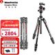 曼富圖（Manfrotto） Befree精品反折碳纖維便攜三腳架云臺套裝旅行單反微單數碼相機拍照攝影攝像機角架適用索尼富士 MKBFRTC4GT-BH碳纖維款