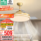 雷士（NVC）金色42寸滿(mǎn)天星風(fēng)扇燈吊扇燈 套餐同款 客餐廳臥室遙控隱形電風(fēng)扇 星爍36W/高顯指/6檔調風(fēng)