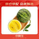 京鮮生 特小鳳黃肉西瓜 2粒裝 凈重4-6斤 單果2-3斤 生鮮水果