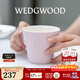 Wedgwood【新年禮物】歡愉假日馬克杯情侶對杯杯子水杯咖啡杯高顏值 歡愉假日粉色馬克杯 1個(gè) 350ml