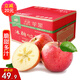 源外 正宗新疆大漠冰糖心蘋(píng)果 凈重8.5斤新鮮水果脆甜紅富士丑蘋(píng)果 優(yōu)選中果（75-80mm）