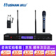 湖山（HUSHAN） 無(wú)線(xiàn)話(huà)筒 U段 無(wú)線(xiàn)麥克風(fēng)專(zhuān)業(yè)K歌 家庭KTV演唱會(huì )議主持專(zhuān)業(yè)話(huà)筒 DS-U410R(一拖二）