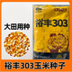 國審原裝裕豐303玉米種子高產(chǎn)雜交矮桿大棒玉米種籽春播夏播 裕豐303(原包裝4200粒)