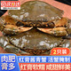 紅膏醬青蟹整只即食醬油全母蟹醉蟹潮汕生腌螃蟹熗蟹酒店商用送禮 【4-6兩/只】2只裝 紅膏醬青蟹