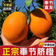 正宗奉節臍橙紐荷爾10斤/20斤整箱禮盒當季新鮮橙子生鮮水果 奉節紐荷爾臍橙大果【單果80-90mm】 帶箱10斤裝【凈重約9.4】實(shí)打實(shí)的