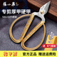 張小泉剪刀指甲刀家用不銹鋼指甲剪剪腳指甲專(zhuān)用甲溝小剪子強力腳趾甲剪 寬頭指甲剪刀