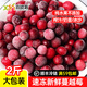 喜德農冷凍蔓越莓果2斤裝 新鮮速凍水果莓果生鮮 果飲烘焙奶茶店用原料 冷凍新鮮蔓越莓2斤裝