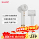 夏普【夏普小浪花】家用高速吹風(fēng)機 大功率速干電吹風(fēng)低噪音吹風(fēng)筒等離子護發(fā)IB-RP45C-C