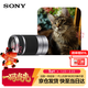 索尼（SONY）E 55-210mm APS-C畫(huà)幅遠攝大變焦微單相機鏡頭 銀色E卡口