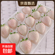 【京東陸運】淡雪奶油白草莓白雪公主白粉色真紅美鈴山東草莓禮品 淡雪草莓250g【1盒*精美禮盒】 精選果【20粒/盒】鮮嫩多汁