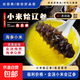 海參小米粥加熱即食孕婦早餐金湯小米遼參海鮮長(cháng)輩禮物批發(fā)商用 1包