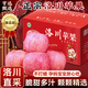 亨迅洛川蘋(píng)果水果陜西紅富士延安蘋(píng)果脆甜多汁整箱新鮮水果生鮮中秋節 10斤嚴選裝 單果80-90mm 凈8.5斤 【核心產(chǎn)區丨精品好果】