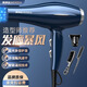 德國品質(zhì)高功率電吹風(fēng)機大功率藍光護發(fā)靜音家用發(fā)廊酒店吹風(fēng)筒 魅藍轉戰神版送三件套