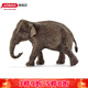 思樂(lè )（Schleich S）新年禮物仿真草原動(dòng)物模型非洲象亞洲象小象斑馬兒童玩具擺件啟蒙 亞洲母象14753