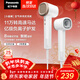 松下（Panasonic）高速護發(fā)吹風(fēng)機速干負離子電吹風(fēng)家用不傷發(fā)送女友新年禮物小森林陶瓷白EH-NE6L