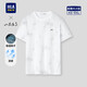 海瀾之家（HLA）海瀾之家短袖T恤男26山不在高系列涼感短袖男夏季