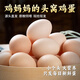 耕果妙新鮮谷物雞蛋10枚初生蛋 單枚40g 農家鮮雞蛋包郵 源頭直發(fā)