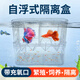 備能（BEINENG）魚(yú)缸孵化盒孔雀魚(yú)繁殖隔離盒大號吸盤(pán)小魚(yú)用分離盒母魚(yú)產(chǎn)卵房