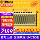 雅馬哈（YAMAHA）thr10音箱音響電吉他thr30awl/thr5木吉它貝斯效果器藍牙 THR10II【通用款+藍牙+20W】