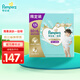 幫寶適（Pampers）一級幫拉拉褲嬰兒尿不濕小內褲 XXL碼50+6片【一級幫拉拉褲】