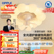 歐普照明（OPPLE）奶油風(fēng)LED吸頂風(fēng)扇燈吊扇燈臥室搖頭全光譜可定時(shí)遙控包安裝 風(fēng)華