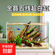 金晶超白魚(yú)缸客廳桌面小魚(yú)缸玻璃草缸龜缸懶人家用生態(tài)造景金魚(yú)缸 長(cháng)60cm寬30cm高35cm(厚度6mm)金晶超白魚(yú)缸裸缸
