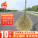 潔比世大掃把 手工竹掃帚竹笤帚物業(yè)大掃把環(huán)衛掃馬路10把