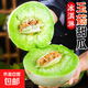 海南冰淇淋玉菇甜瓜 頭茬現摘應季香瓜新鮮水果整箱 玉菇甜瓜凈重8-8.5斤3-4個(gè)裝