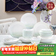 NINE CRANES餐具套裝家用陶瓷景德鎮現代簡(jiǎn)約碗盤(pán)組合盤(pán)子碗情侶家用整套