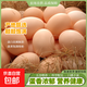 林下鮮雞蛋新鮮走地雞蛋柴雞蛋源頭直發(fā)生鮮單枚40g-45g 土雞蛋50枚