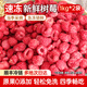 喜德農冷凍紅樹(shù)莓2斤/袋速凍新鮮樹(shù)莓覆盆子水果生鮮莓果凍果冰果 冷凍樹(shù)莓1kg*2袋（順豐包郵）