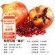 虹越（HONGYUE）石榴果苗 家庭休閑種植水果苗軟籽石榴盆栽苗南北方庭院果樹(shù)苗 軟籽石榴“慕樂(lè )” 1加侖