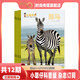 【2025年1-12月現貨 贈科普圖冊+貼紙】小聰仔科普版雜志2025年1-12期 打包 幼兒益智興趣智力開(kāi)發(fā)期刊 2~8歲 【全年共12冊】2026年5月起訂