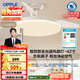 歐普照明（OPPLE）風(fēng)扇燈42寸全光譜1級能效智能控制80瓦 餐廳臥室吊燈 冰風(fēng) 包安裝