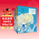 畢淑敏作品精選·少年版（套裝共4冊）兒童故事書(shū)課外讀物正版套裝
