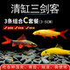清苔鼠金苔鼠魚(yú)熱帶觀(guān)賞魚(yú)清道夫鼠魚(yú)魚(yú)缸除藻魚(yú)清潔魚(yú)活魚(yú)工具魚(yú) 清缸三劍客套餐3-5CM各1條
