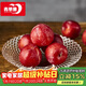 青蘋(píng)果新年禮物水晶光澤玻璃水果盤(pán)輕奢家用客廳會(huì )所婚慶裝飾8.5英寸