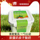 瑞緣新疆瑞緣哈密瓜奶皮子酸奶800g*1桶草莓味絲滑濃郁低溫酸奶 哈密瓜奶皮子酸奶800g*1桶