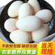新鮮特大雙黃土鵝蛋農家散養土鵝蛋一整箱批發(fā)孕婦現撿現發(fā)鮮鵝蛋 6顆裝【90-120g】雙蛋黃居多