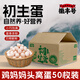 徽豐號 初生蛋50枚整箱裝 單枚重33g以上初產(chǎn)蛋頭窩蛋 健康早餐生鮮雞蛋