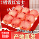煙臺棲霞紅富士蘋(píng)果脆甜多汁整箱生鮮應季當季禮盒丑蘋(píng)果冰糖心 5斤80mm-85mm
