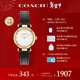 蔻馳（COACH）CARY系列 皮帶石英女表14504014 羅一舟推薦 新年禮物/送禮