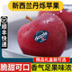 新西蘭丹爍蘋(píng)果脆甜進(jìn)口紅蘋(píng)果 6個(gè) 單果110-130g