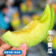 新鮮現摘牛3蜜瓜海南三亞當季時(shí)令水果網(wǎng)紋玫瓏綿密奶香甜哈密瓜 8-9斤（含箱重）大約3-4個(gè) 牛三蜜瓜