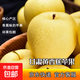 甘肅黃元帥蘋(píng)果粉糯香甜當季新鮮水果黃金帥黃香蕉整箱包郵 帶箱12斤 大果80-85mm