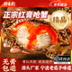 紅膏嗆蟹整只即食醬母蟹寧波特產(chǎn)熗蟹梭子蟹咸蟹螃蟹生腌海鮮醉蟹 【單只凈重4-6兩】2只 膏紅蟹肥