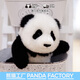 熊貓工廠(chǎng)官方大頭系列萌蘭花花仿真熊貓玩偶公仔毛絨玩具生日禮物送女生 【禮盒裝】大頭系列-萌蘭 骨架款